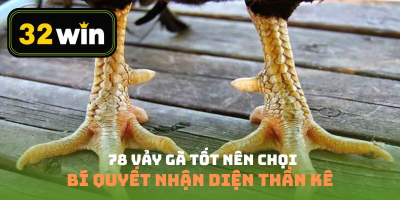 78 vảy gà tốt nên chọi