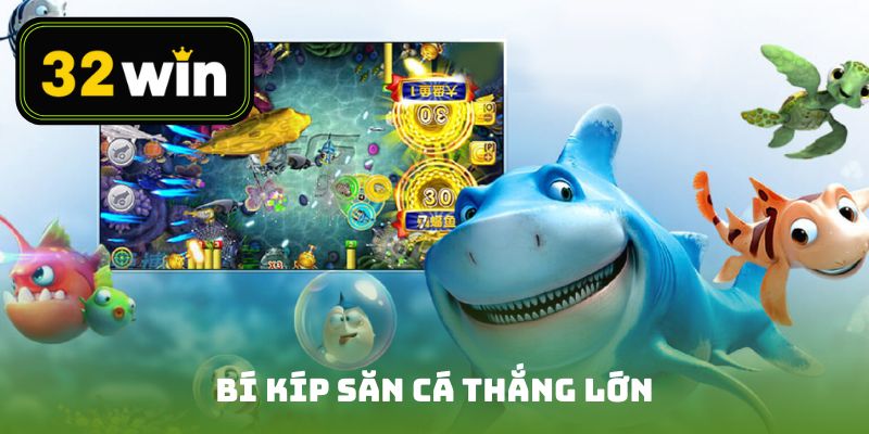 Bí kíp săn cá thắng lớn