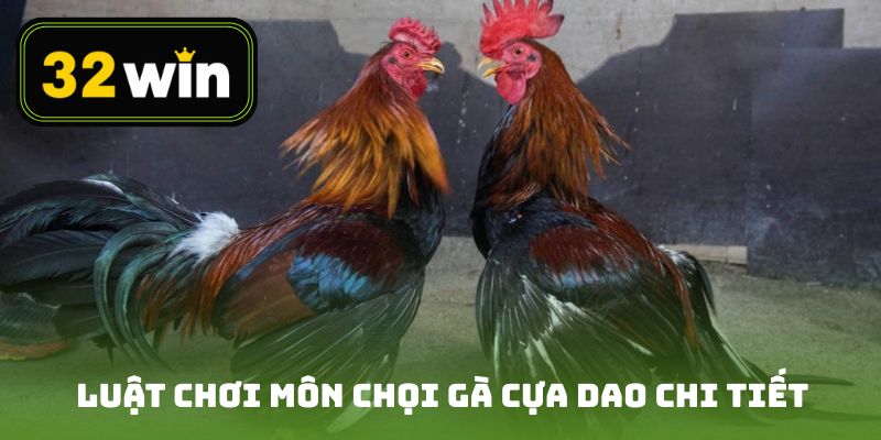 Luật chơi môn chọi gà cựa dao chi tiết