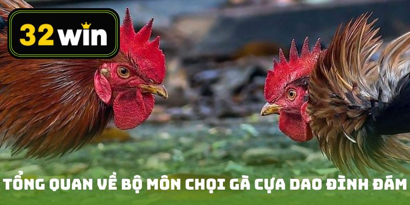 Tổng quan về bộ môn chọi gà cựa dao đình đám