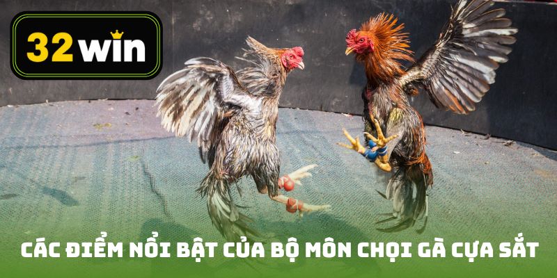 Các điểm nổi bật của bộ môn chọi gà cựa sắt