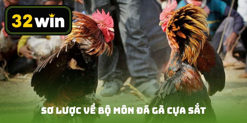 Sơ lược về bộ môn đá gà cựa sắt