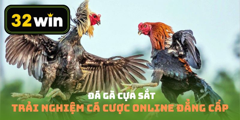 Đá Gà Cựa Sắt