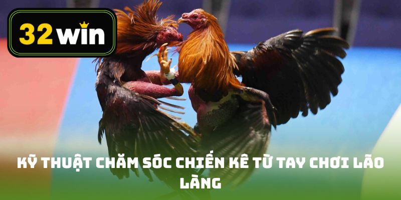 Kỹ thuật chăm sóc chiến kê từ các tay chơi lão làng