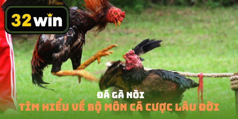 Đá Gà Nòi