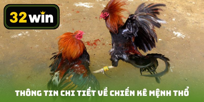 Thông tin chi tiết về chiến kê mệnh Thổ