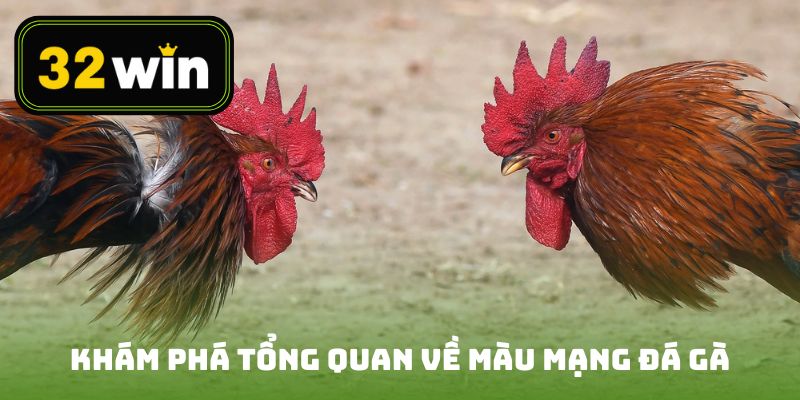 Khám phá tổng quan về màu mạng đá gà