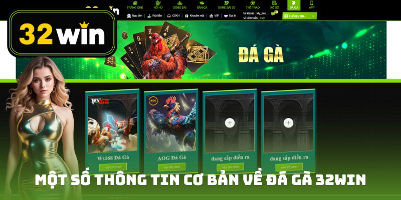 Một số thông tin cơ bản về đá gà 32win cho khách hàng